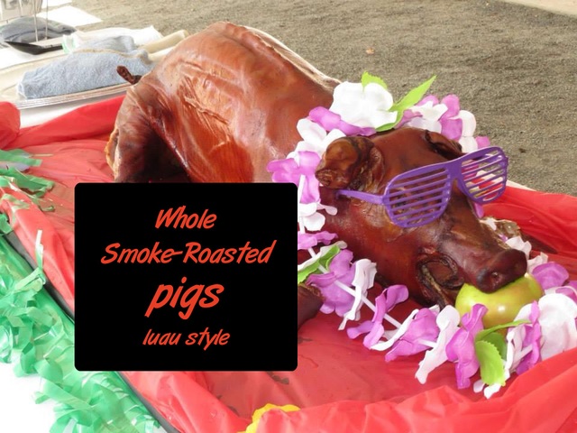 Hole Luau Style Pigs